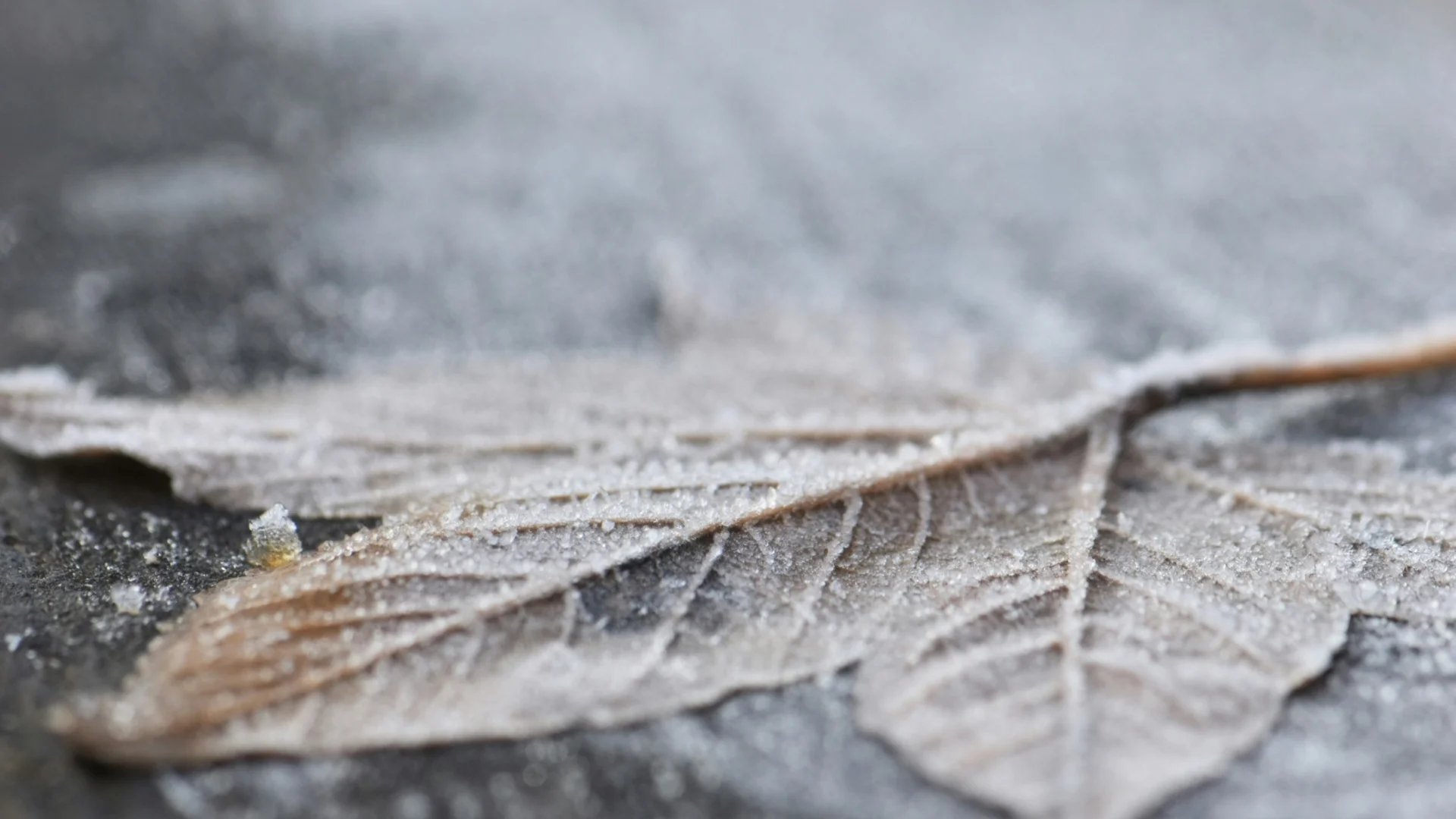 Urlaub im Castel Rundegg in Meran